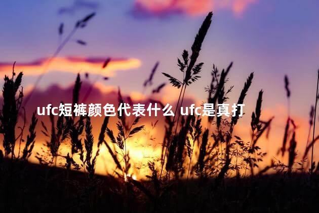 ufc短裤颜色代表什么 ufc是真打还是假打